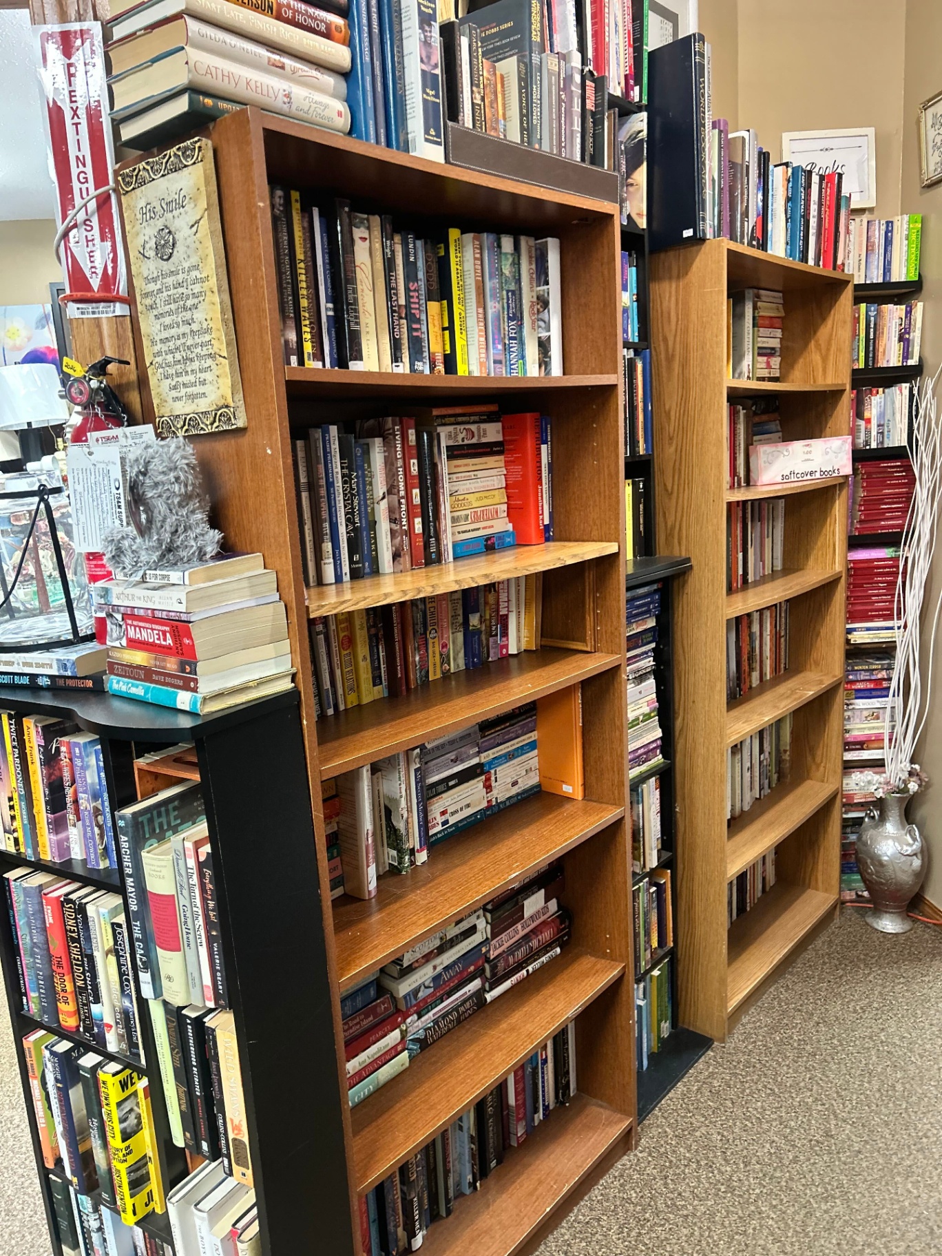 Books & DVDs at Second Chance Carlyle